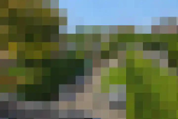 Eendrachtspolder 41 's-Hertogenbosch thumbnail 30