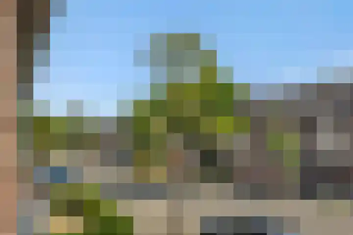 Eendrachtspolder 41 's-Hertogenbosch thumbnail 31