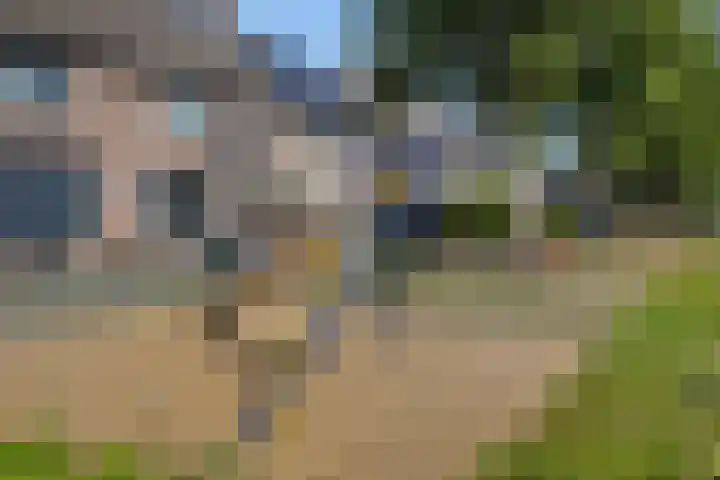 Eendrachtspolder 41 's-Hertogenbosch thumbnail 33