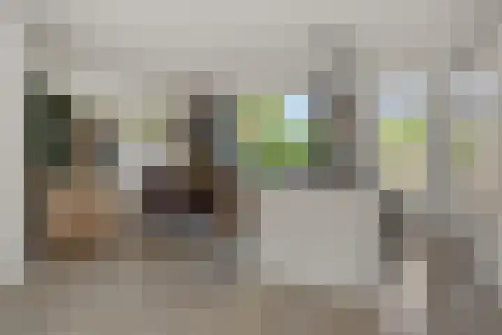 Eendrachtspolder 41 's-Hertogenbosch thumbnail 7