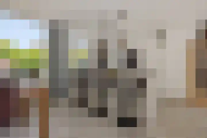Eendrachtspolder 41 's-Hertogenbosch thumbnail 8