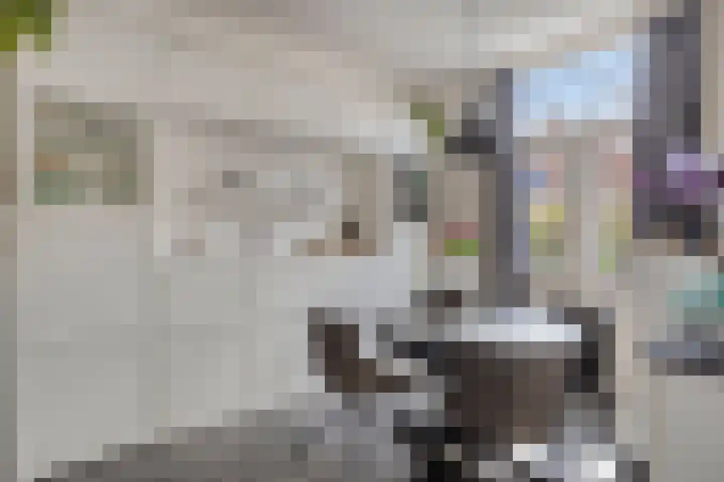 Eendrachtstraat 1 A Koog aan de Zaan thumbnail 10