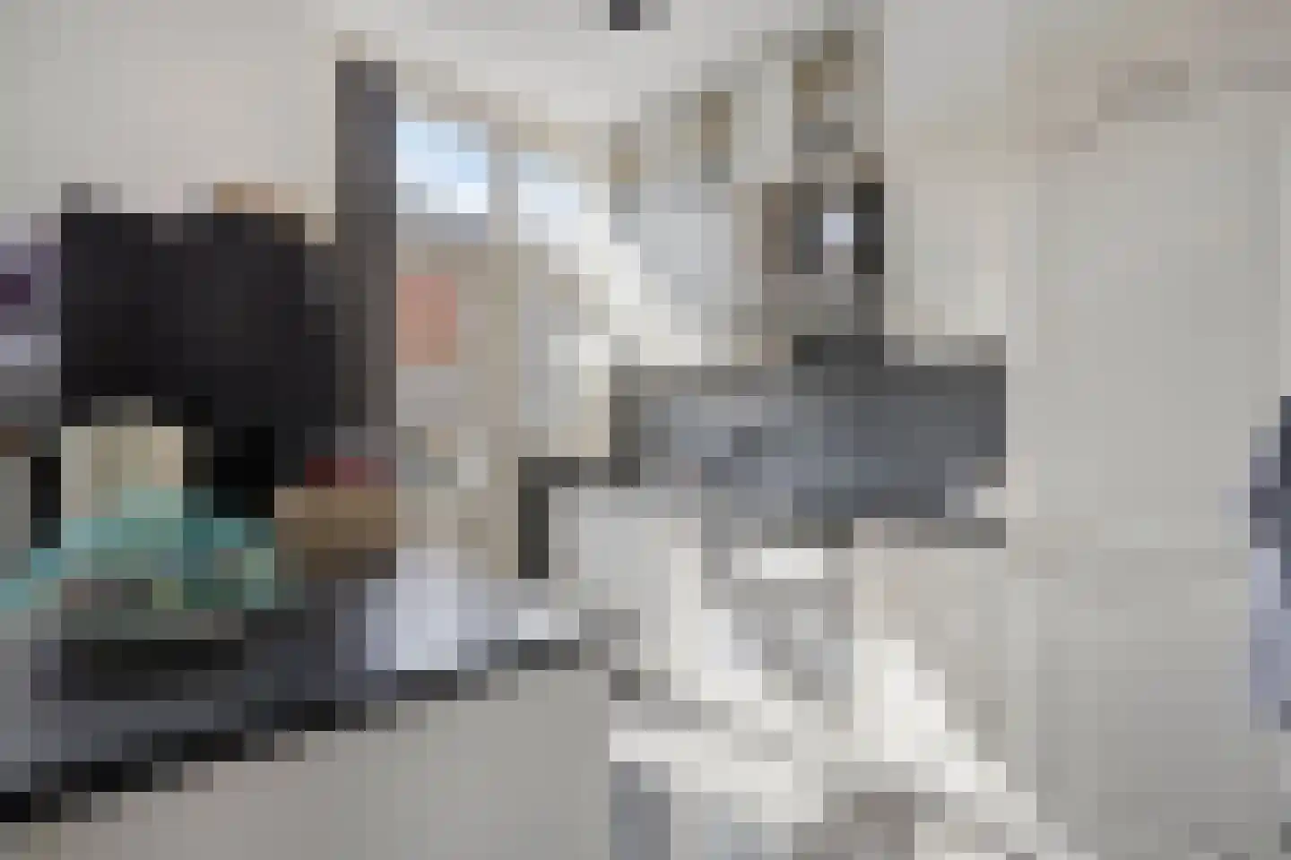 Eendrachtstraat 1 A Koog aan de Zaan thumbnail 11