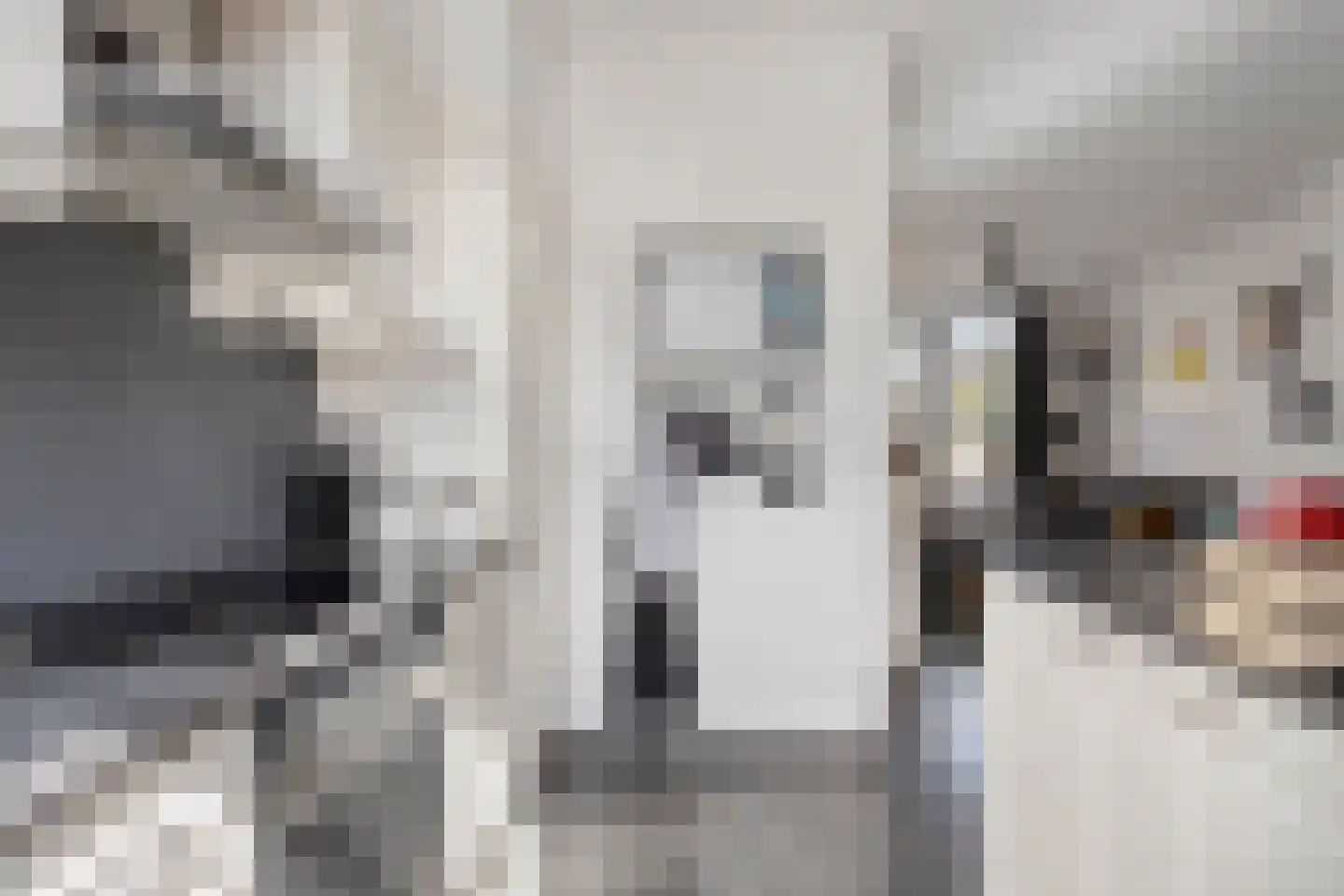 Eendrachtstraat 1 A Koog aan de Zaan thumbnail 12