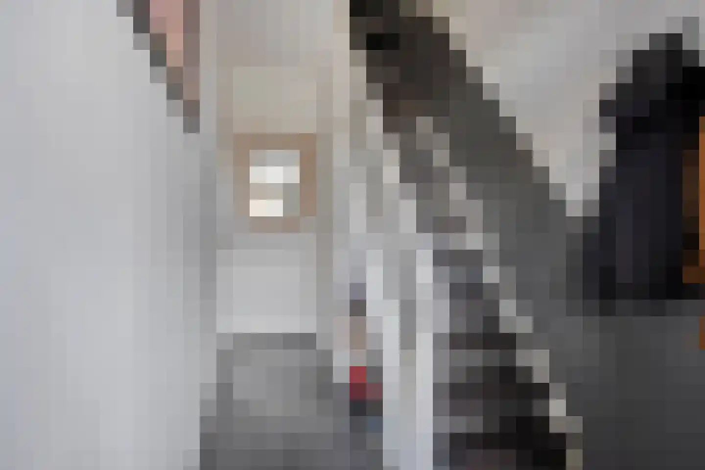 Eendrachtstraat 1 A Koog aan de Zaan thumbnail 19