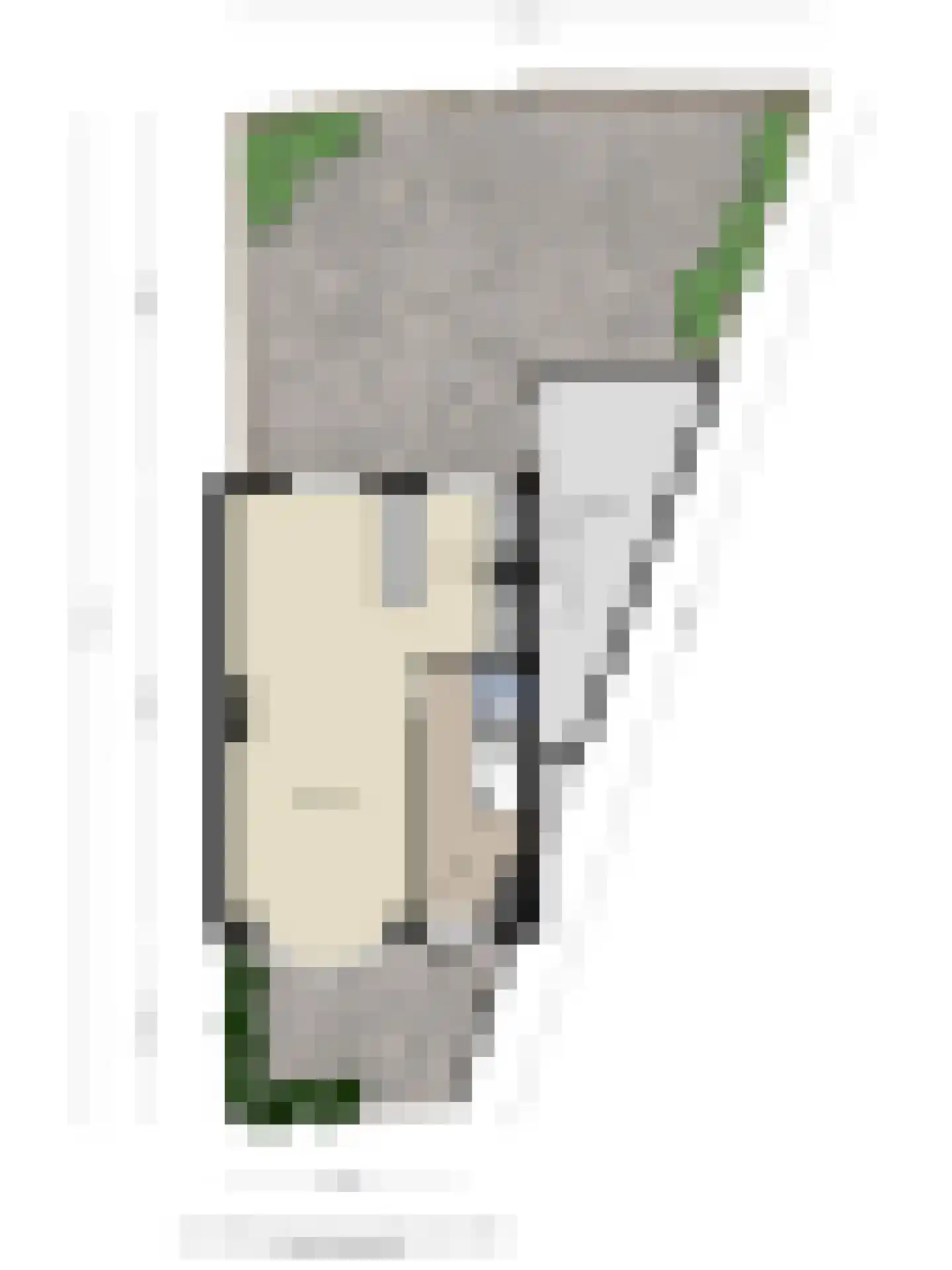 Eendrachtstraat 1 A Koog aan de Zaan thumbnail 33