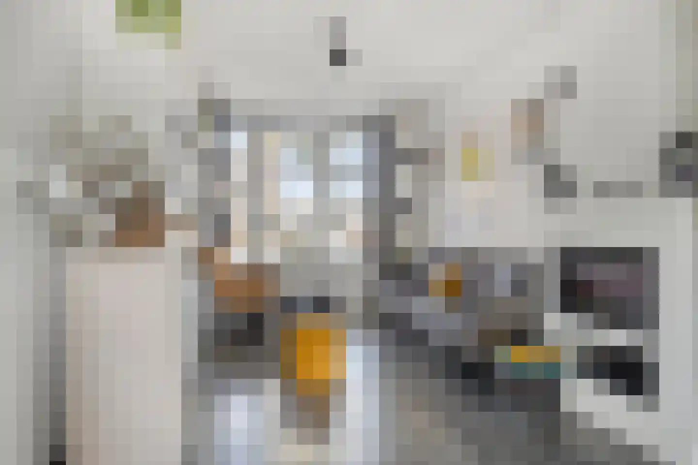 Eendrachtstraat 1 A Koog aan de Zaan thumbnail 4