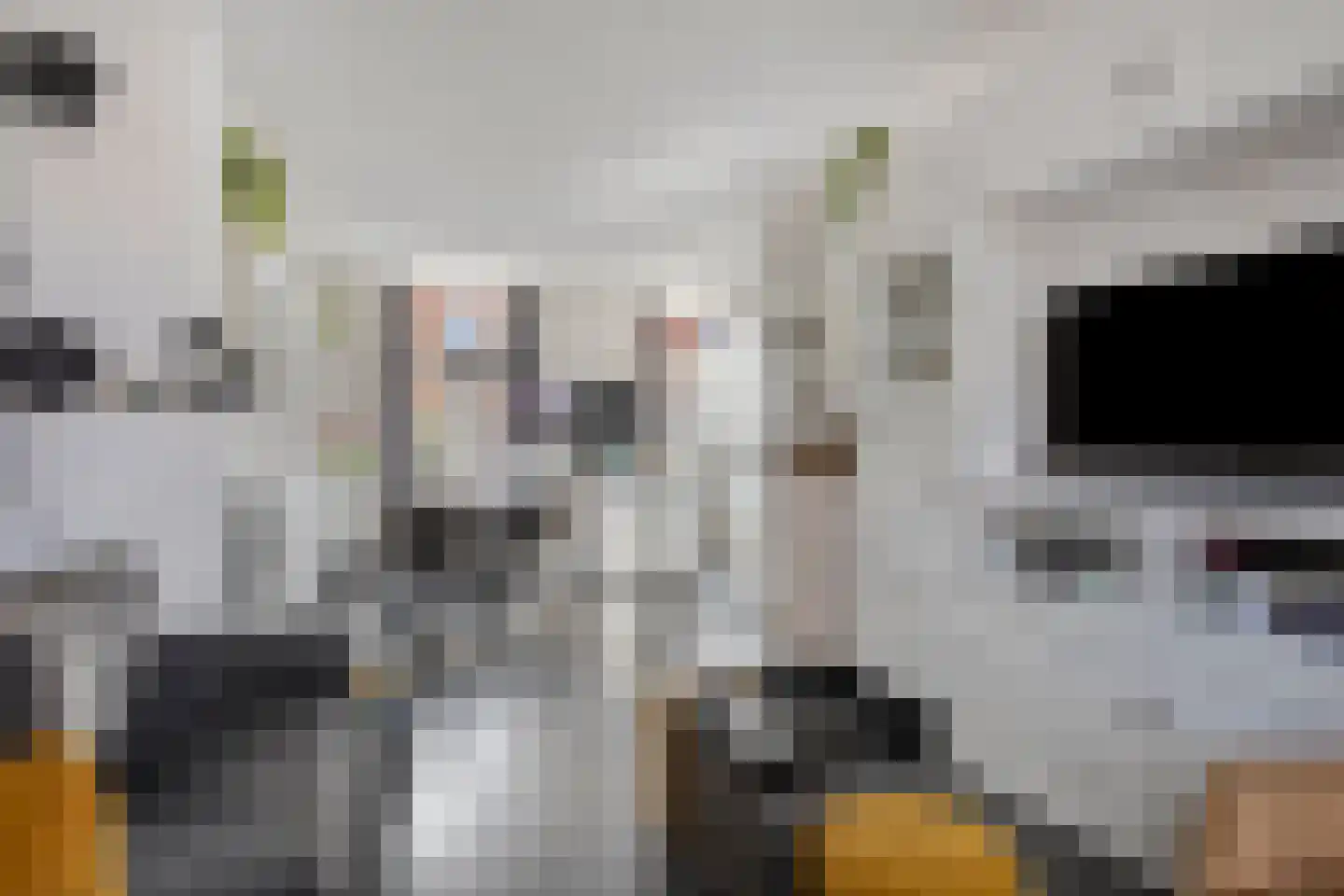 Eendrachtstraat 1 A Koog aan de Zaan thumbnail 6
