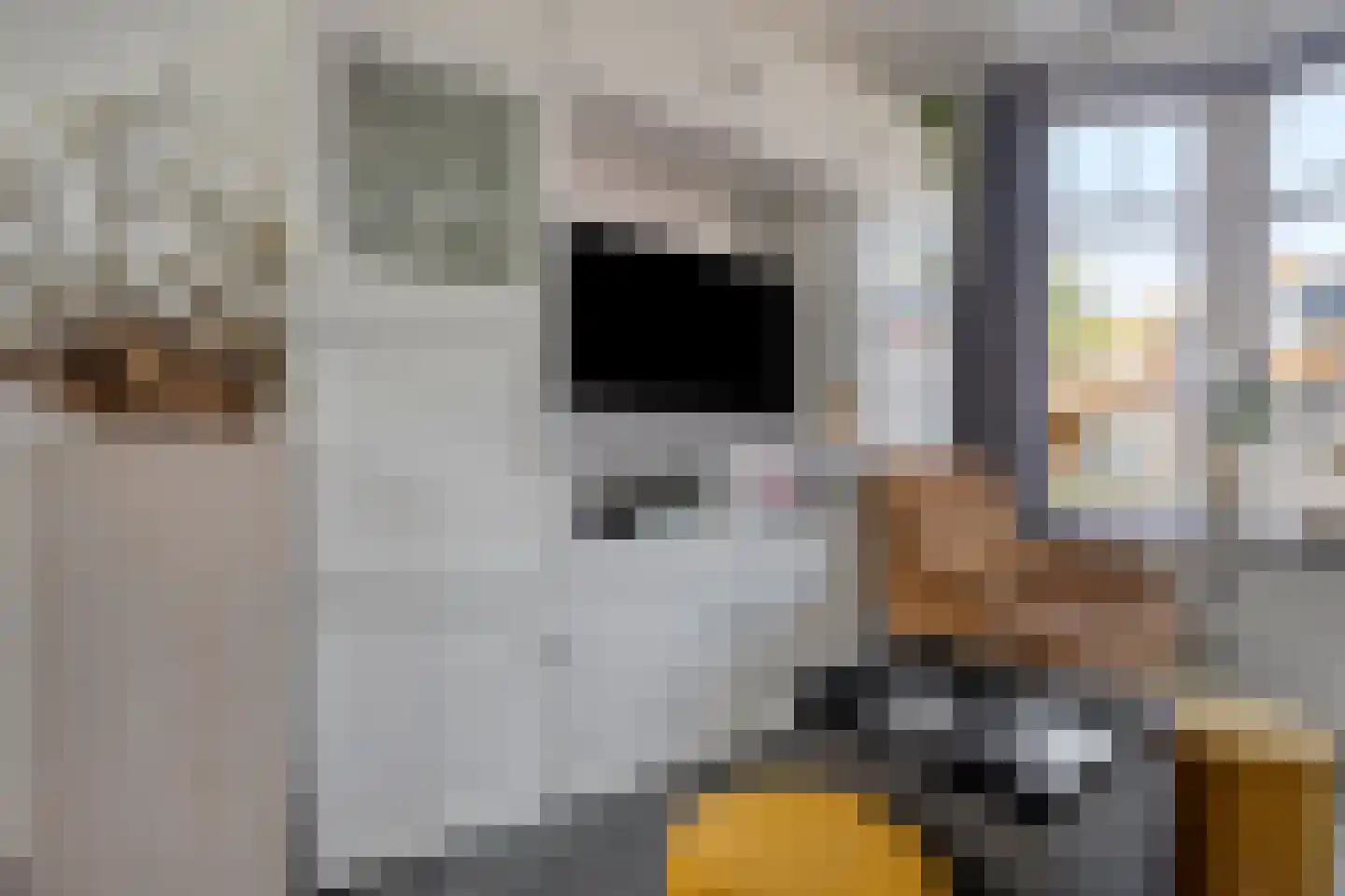 Eendrachtstraat 1 A Koog aan de Zaan thumbnail 8