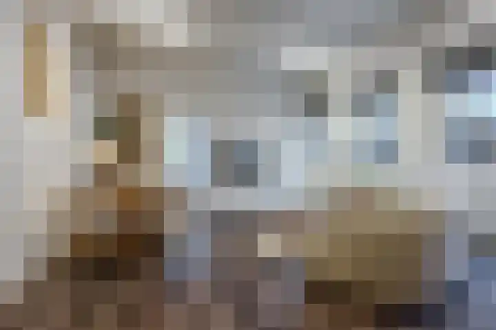 Eendrachtstraat 1 C Woerden thumbnail 12