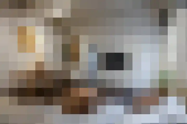 Eendrachtstraat 1 C Woerden thumbnail 13