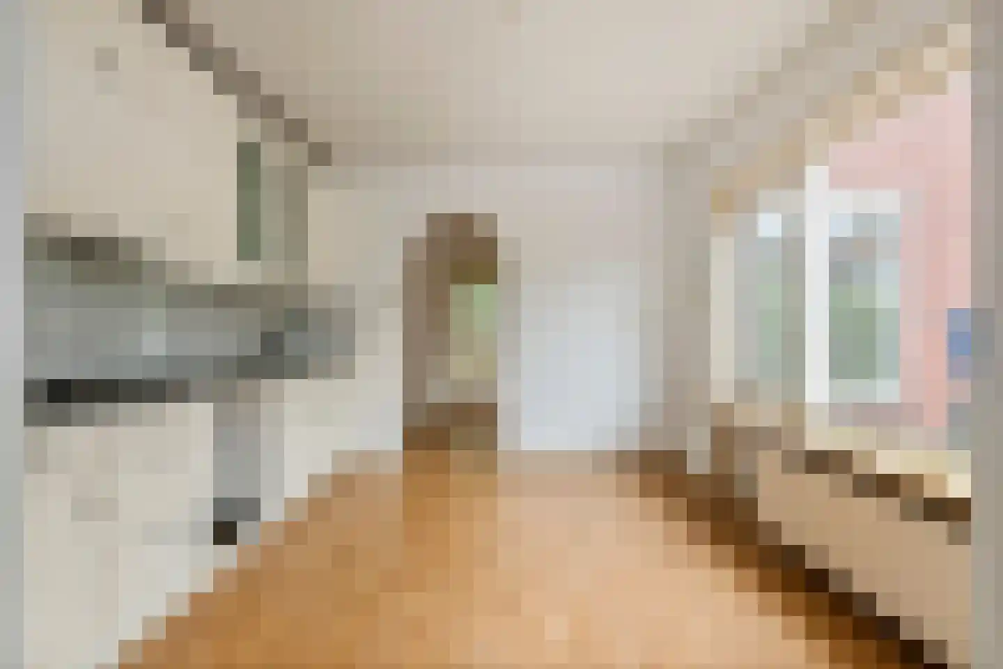 Eendrachtstraat 1 Maurik thumbnail 10