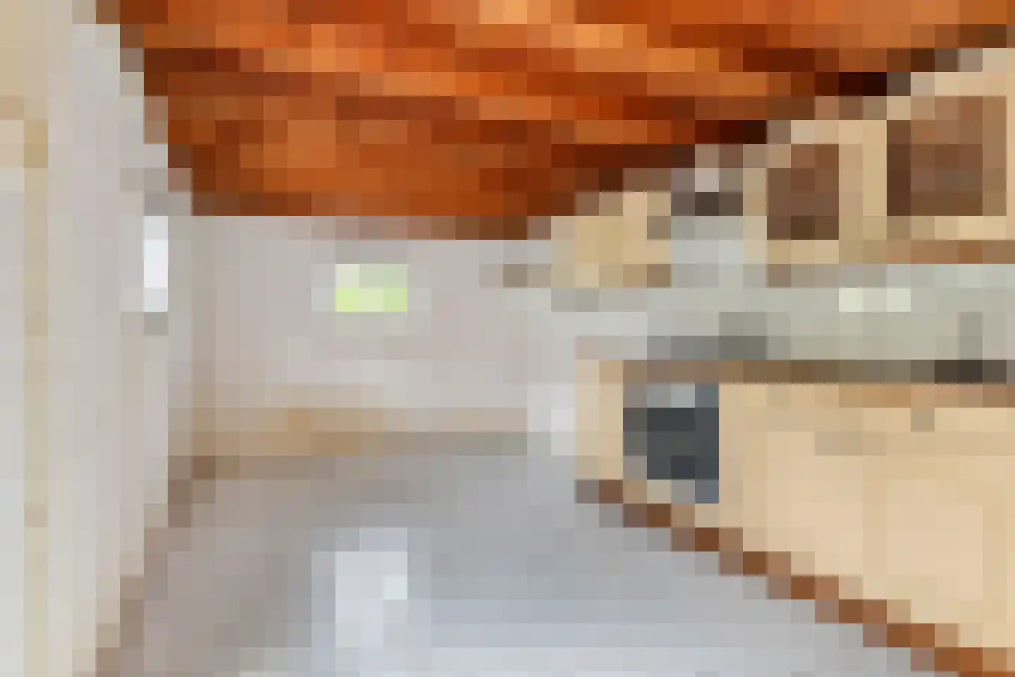 Eendrachtstraat 1 Maurik thumbnail 12