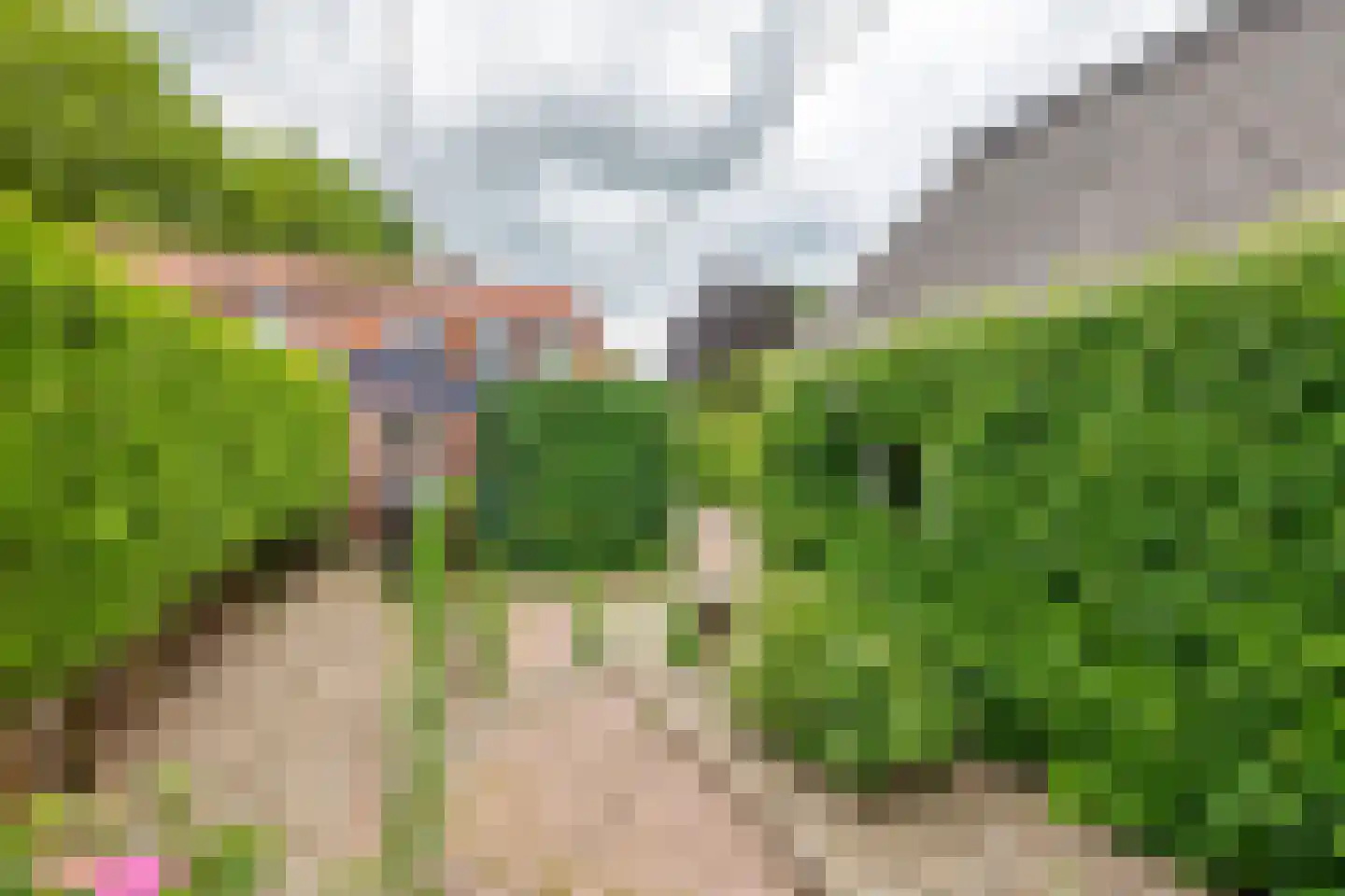 Eendrachtstraat 1 Maurik thumbnail 16