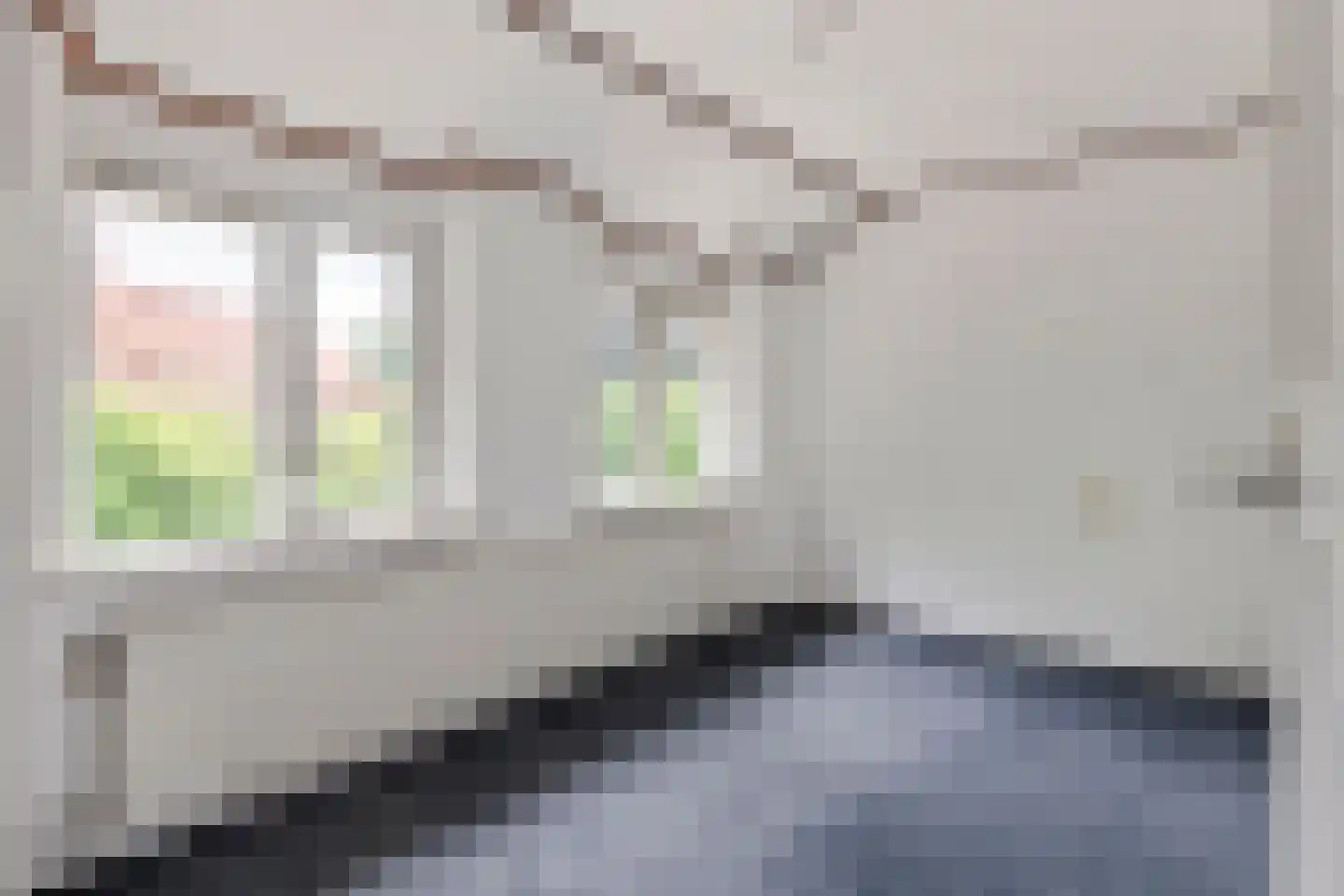Eendrachtstraat 1 Maurik thumbnail 23