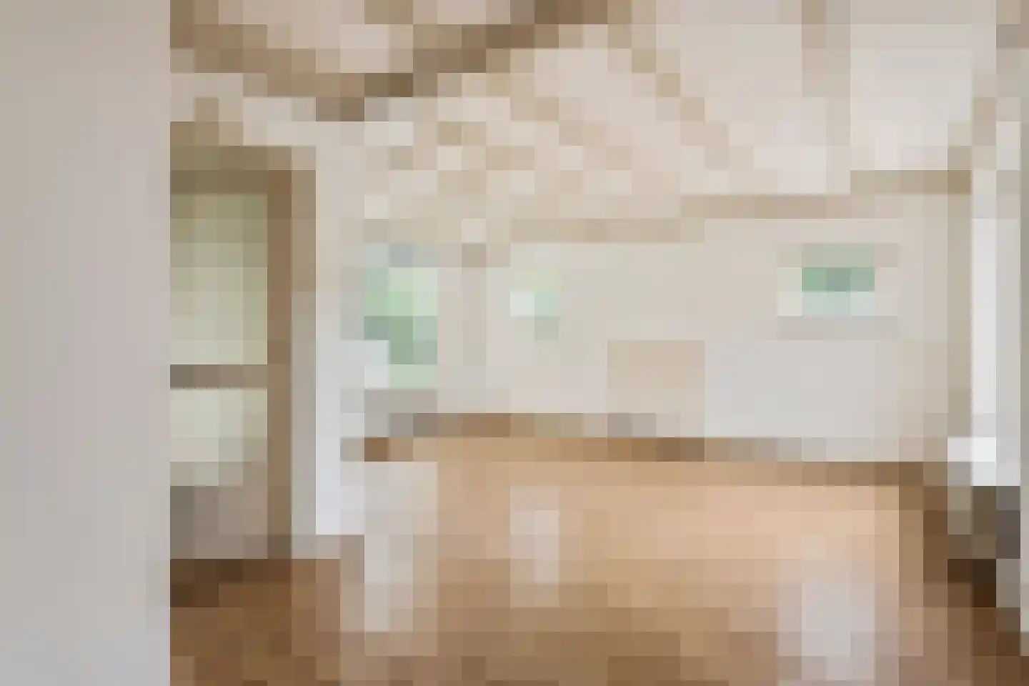 Eendrachtstraat 1 Maurik thumbnail 5