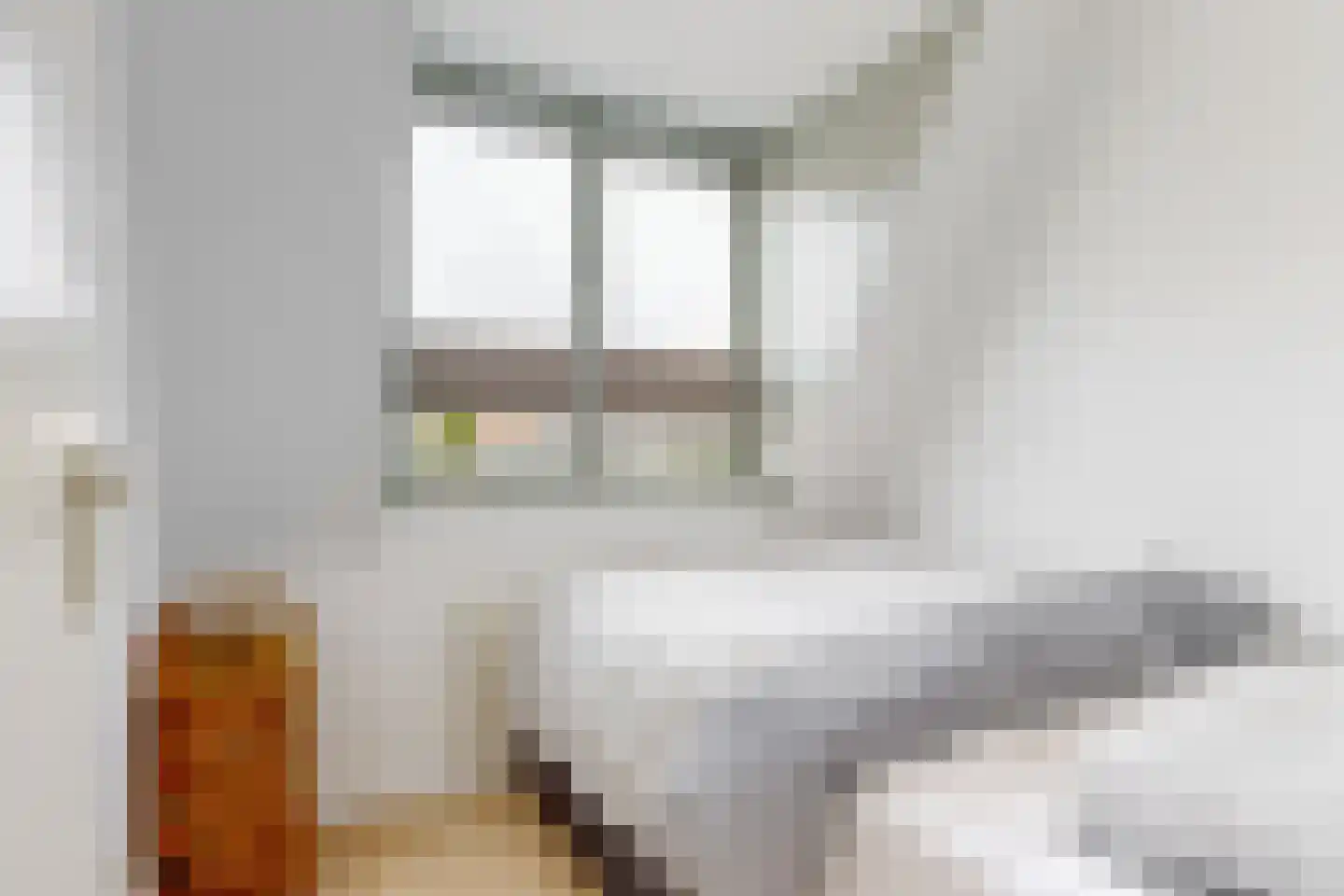 Eendrachtstraat 14 A Woerden thumbnail 11