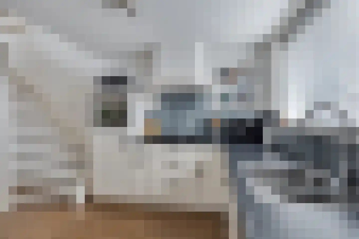 Eendrachtstraat 14 Middelharnis thumbnail 8
