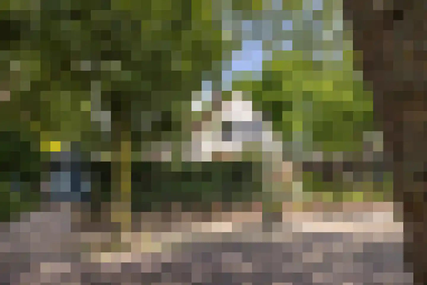 Eendrachtstraat 16 Hengelo thumbnail 31