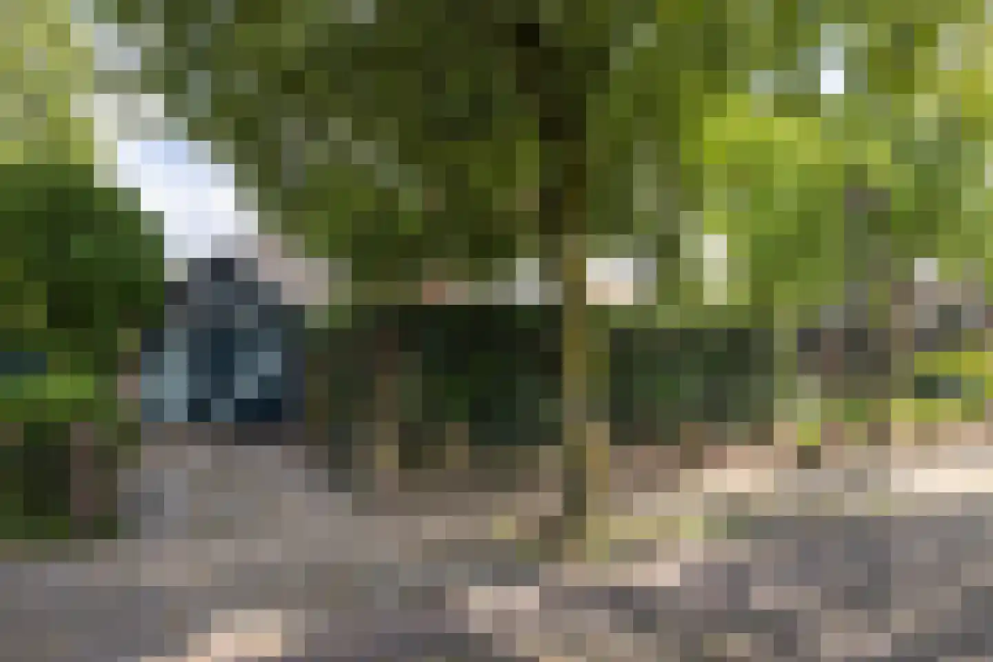 Eendrachtstraat 16 Hengelo thumbnail 5