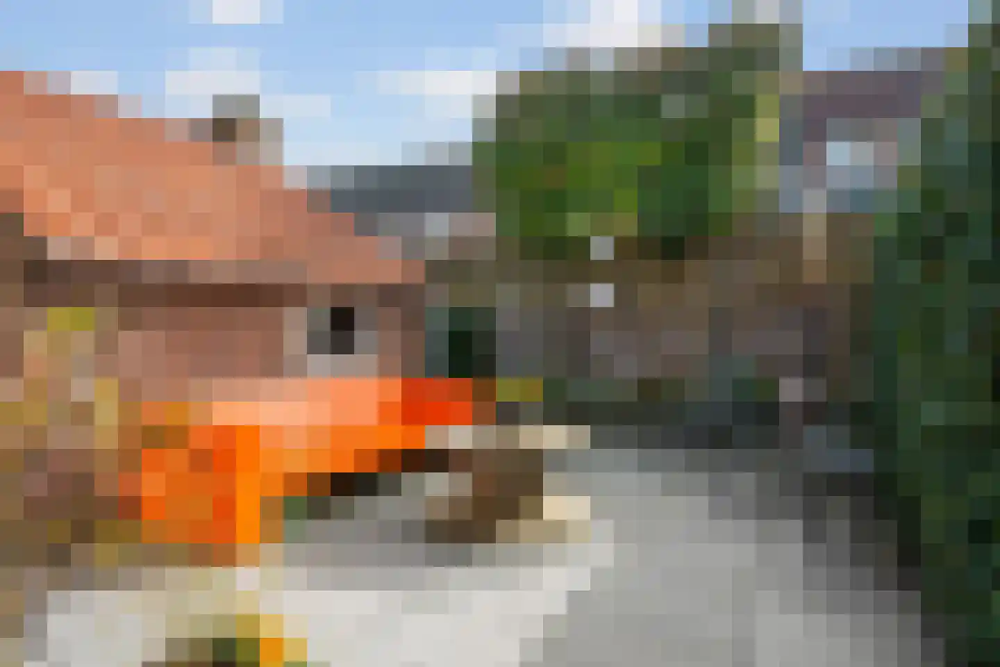 Eendrachtstraat 17 Bunnik thumbnail 27