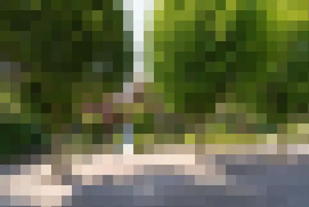 Eendrachtstraat 17 Bunnik thumbnail 31