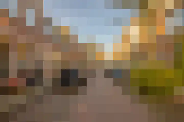 Eendrachtstraat 18 Haarlem thumbnail 31