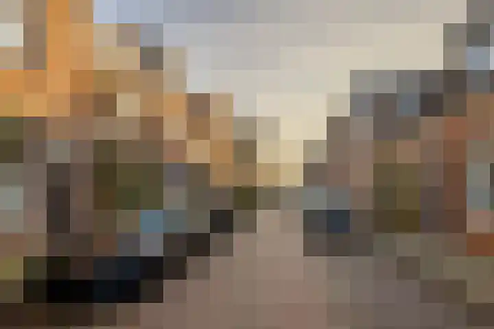Eendrachtstraat 18 Haarlem thumbnail 33