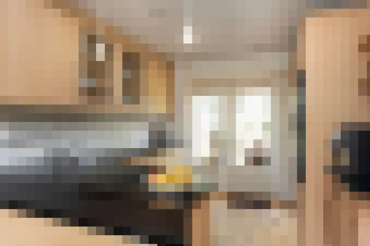 Eendrachtstraat 18 Hengelo thumbnail 15