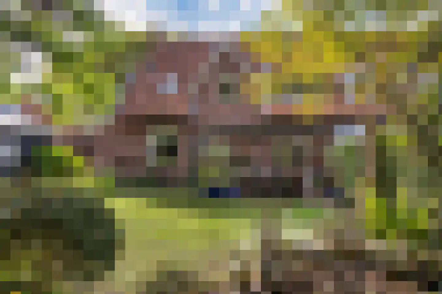 Eendrachtstraat 18 Hengelo thumbnail 30