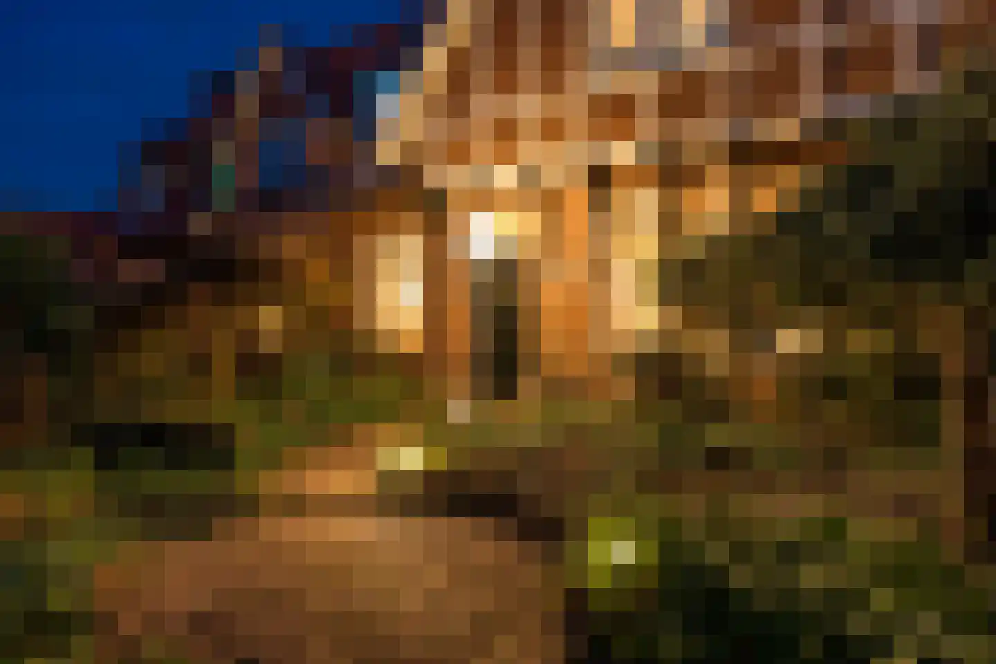 Eendrachtstraat 18 Hengelo thumbnail 6
