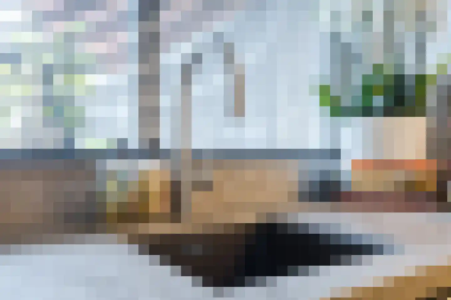 Eendrachtstraat 22 Meppel thumbnail 12