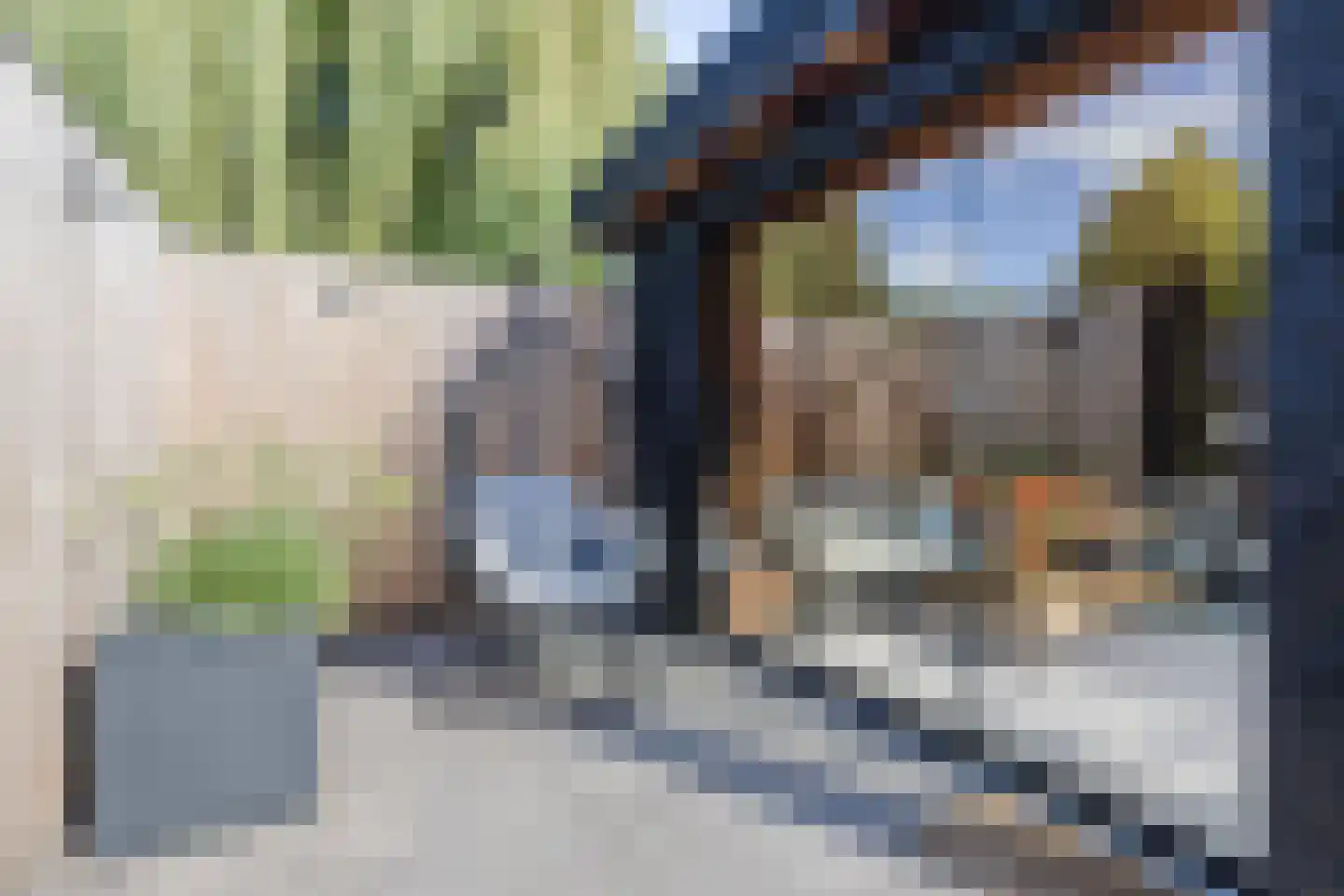 Eendrachtstraat 22 Meppel thumbnail 40