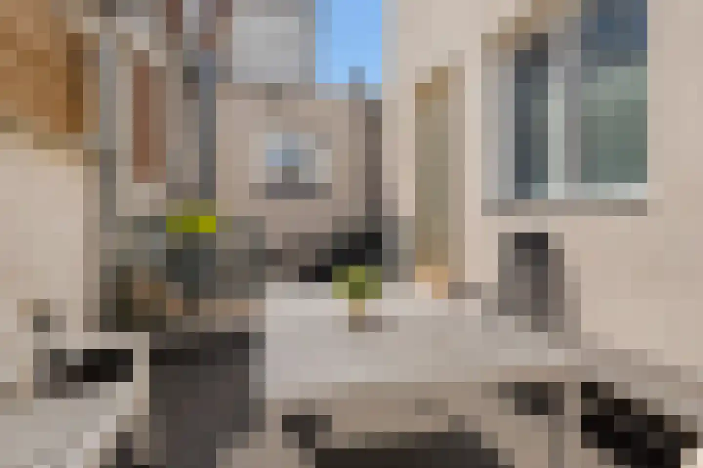 Eendrachtstraat 23 B Vlaardingen thumbnail 29