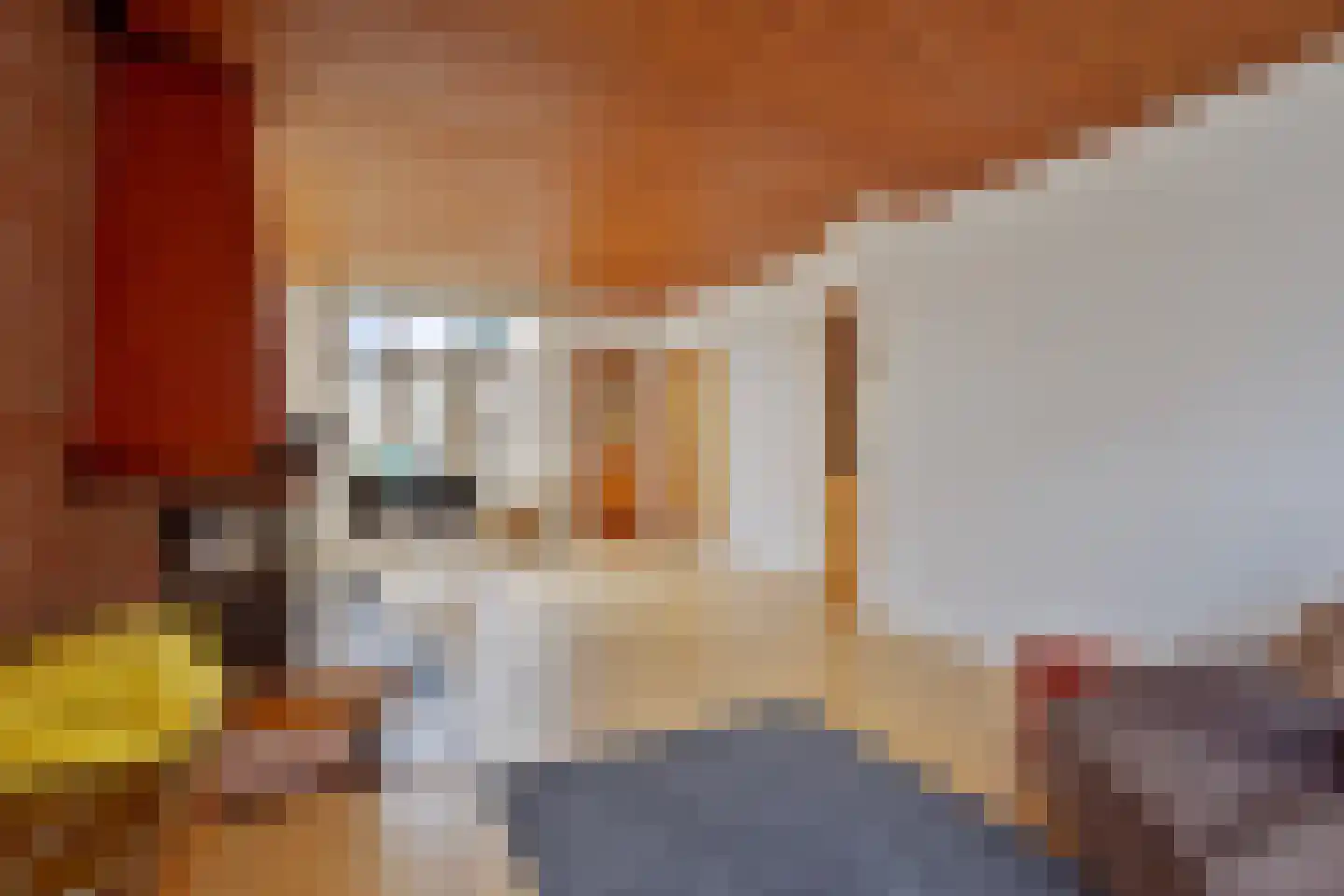 Eendrachtstraat 23 Koog aan de Zaan thumbnail 11