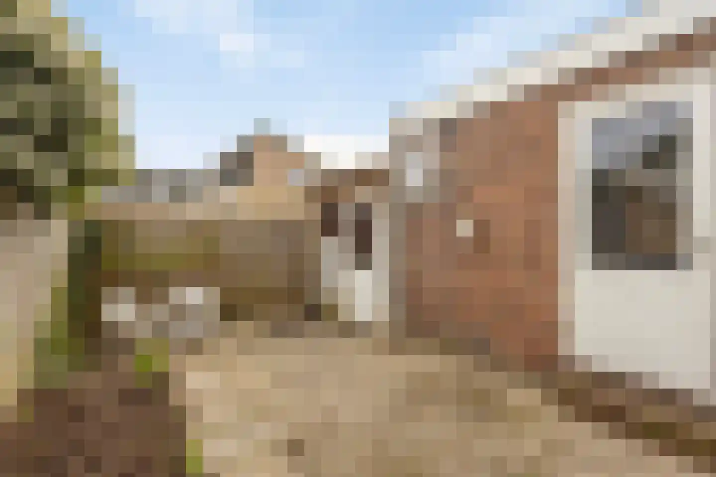 Eendrachtstraat 23 Koog aan de Zaan thumbnail 32