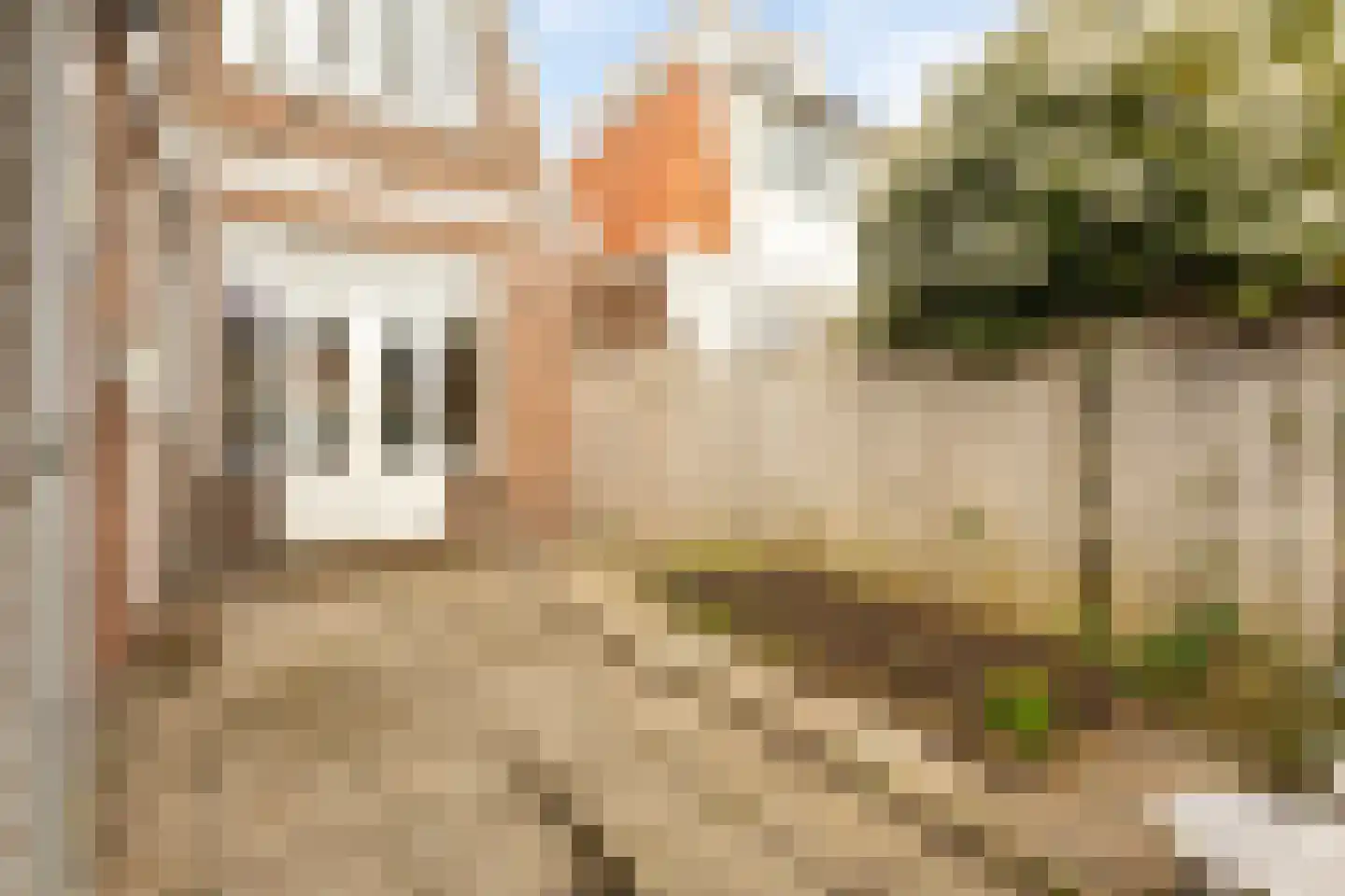 Eendrachtstraat 23 Koog aan de Zaan thumbnail 33
