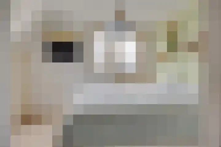 Eendrachtstraat 23 Terschuur thumbnail 18