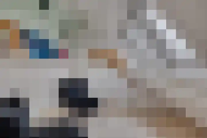 Eendrachtstraat 23 Terschuur thumbnail 34