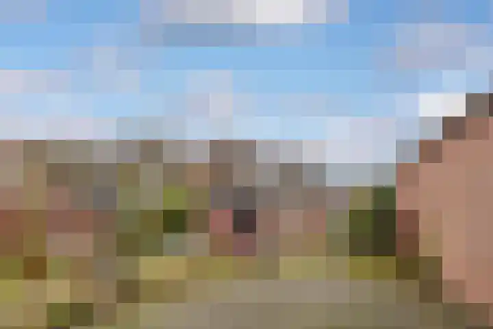 Eendrachtstraat 23 Terschuur thumbnail 38