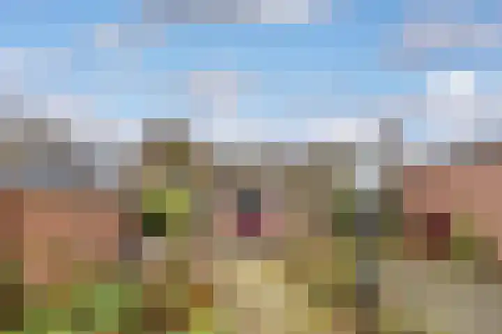 Eendrachtstraat 23 Terschuur thumbnail 39