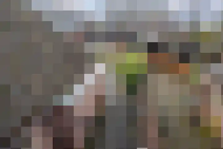 Eendrachtstraat 23 Terschuur thumbnail 45