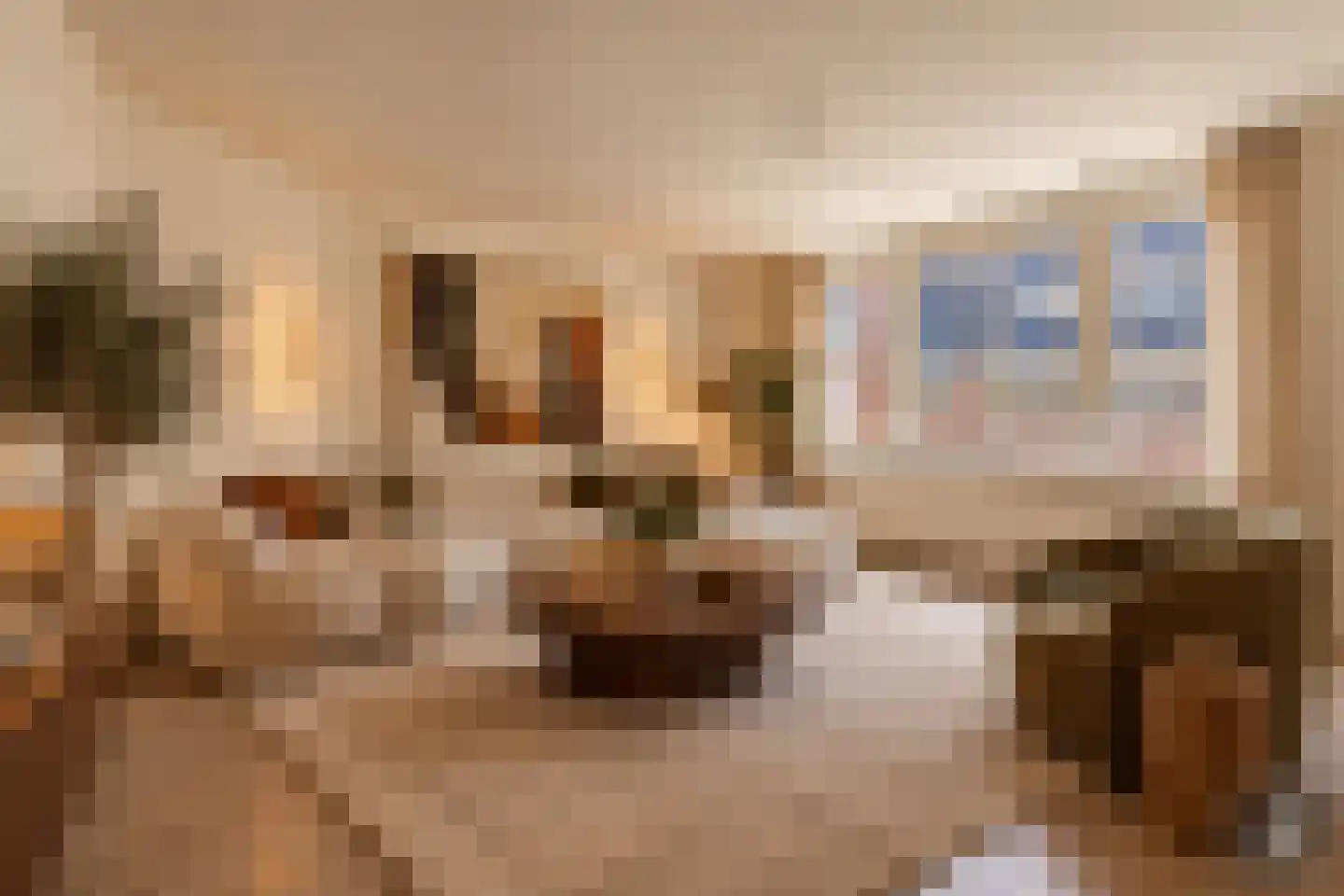 Eendrachtstraat 3 2 Amsterdam thumbnail 5