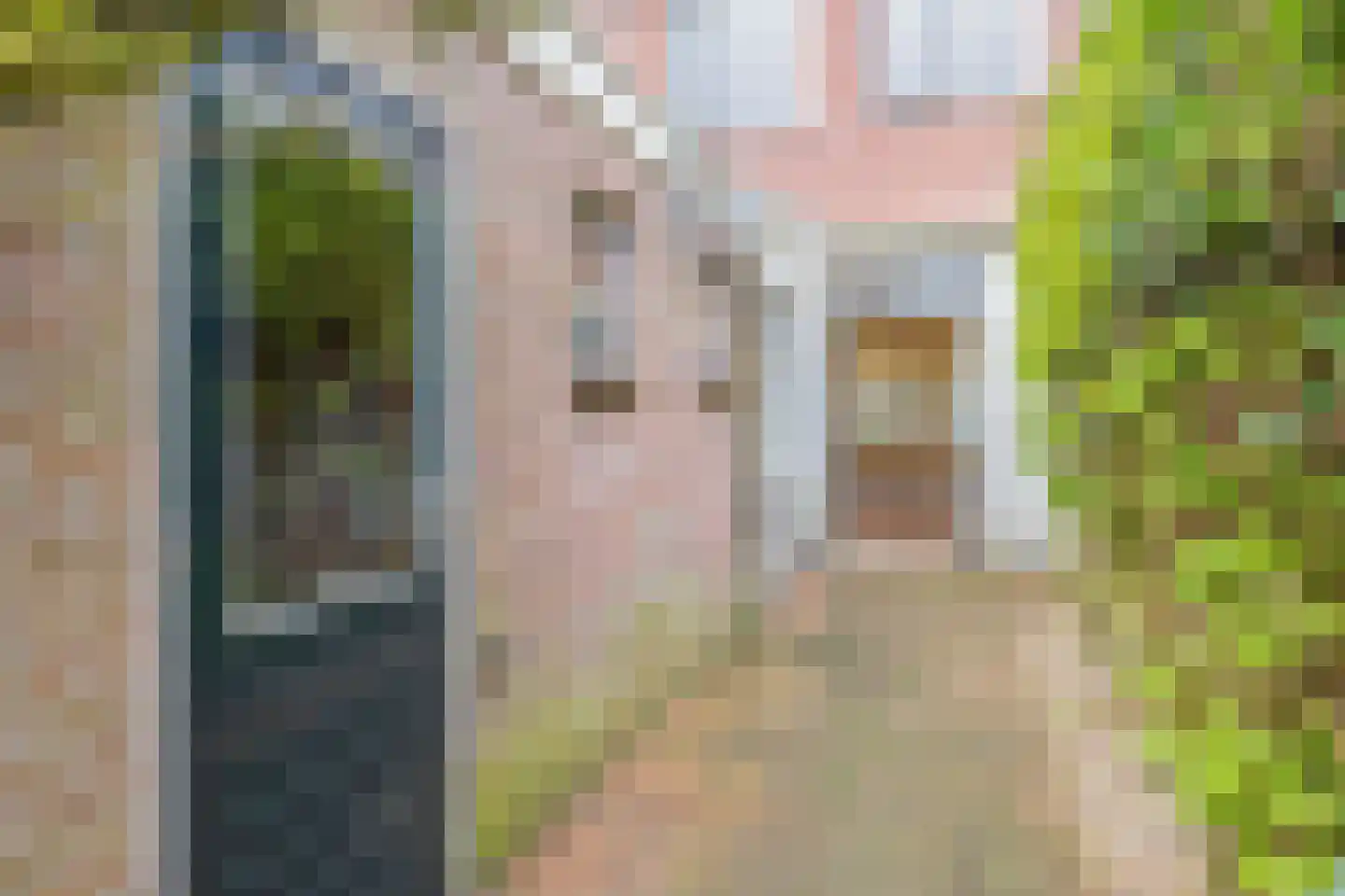 Eendrachtstraat 3 Haarlem thumbnail 19