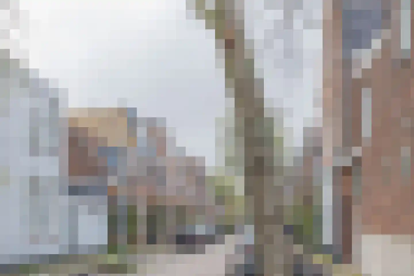 Eendrachtstraat 3 Haarlem thumbnail 33