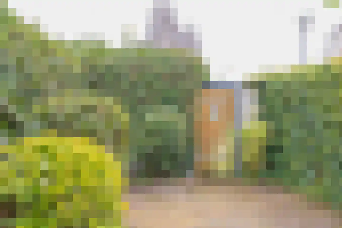 Eendrachtstraat 3 Haarlem thumbnail 4