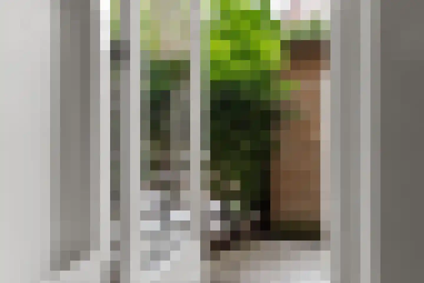 Eendrachtstraat 30 1 Amsterdam thumbnail 27