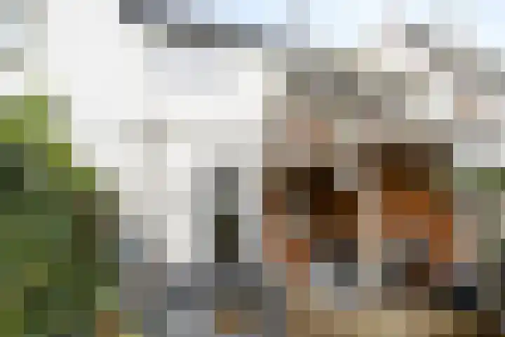 Eendrachtstraat 32 Zwolle thumbnail 30