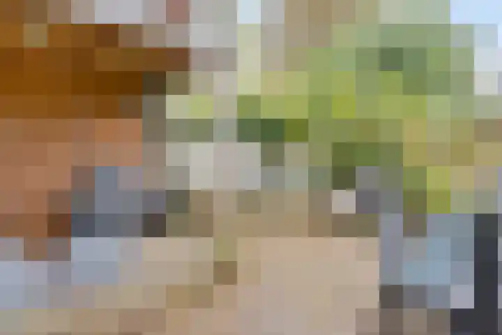 Eendrachtstraat 32 Zwolle thumbnail 33