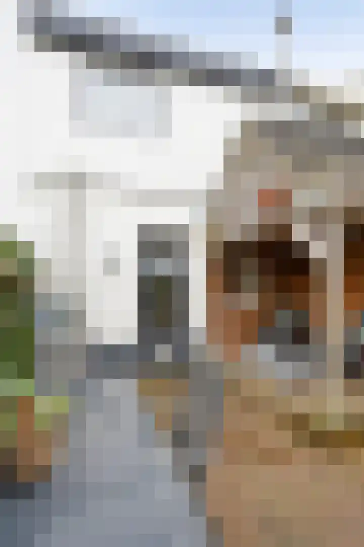 Eendrachtstraat 32 Zwolle thumbnail 34